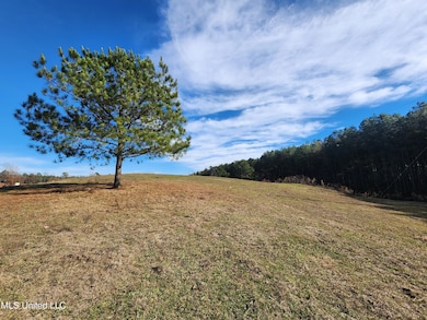 0 Steward Rd unit 4133694, Senatobia, MS 38668 - photo 6
