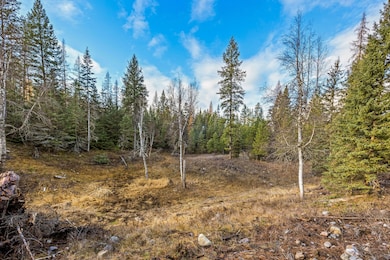 48 Trillium Way, Kalispell, MT 59901 - photo 7