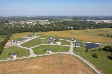 Aerial view of subdivision