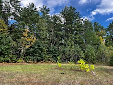 791 W Side Rd, Bartlett, NH 03812 - photo 6