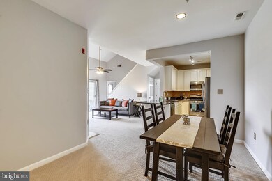 11310 Westbrook Mill Ln unit 303, Fairfax, VA 22030 - photo 6