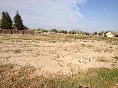 520 Elena Ln, Alamo, TX 78516 - photo 2