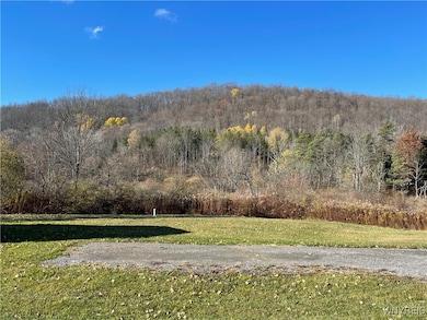 4464 New York 98, Franklinville, NY 14737 - photo 4