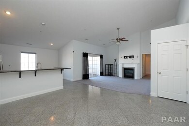 4527 N Tallgrass Ln unit 201, Peoria, IL 61615 - photo 5