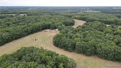 20225 Luetjen Ave, Cole Camp, MO 65325 - photo 5