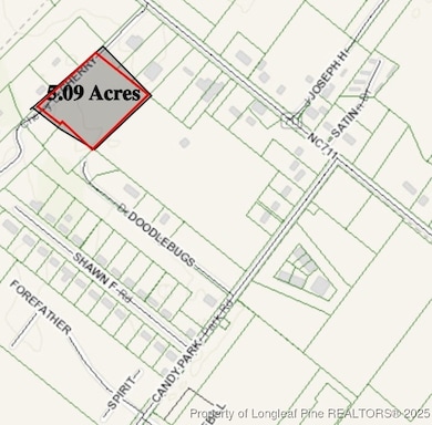 0 Cherry Ln unit 746949, None, NC 28372 - photo 2