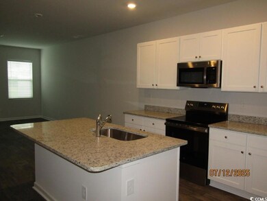 1223 American Shad St, Conway, SC 29526 - photo 2