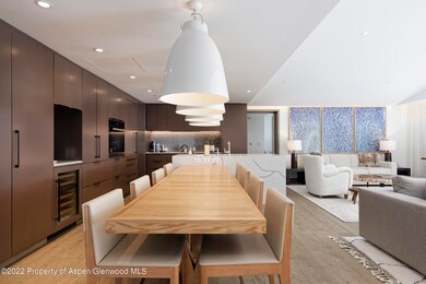 550 S Spring St unit 392, Aspen, CO 81611 - photo 7