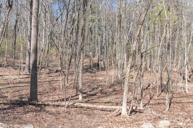 1 Sherry Rd, Harvard, MA 01451 - photo 4