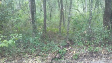 0 Carter Rd, Crawfordville, FL 32327 - photo 4