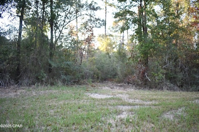 Lot 1 Lakeview Rd, Caryville, FL 32427 - photo 3
