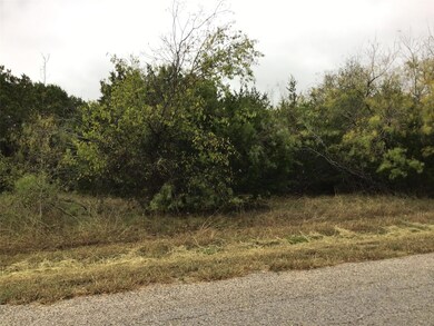 12110 Oak Dale Dr, Whitney, TX 76692 - photo 2