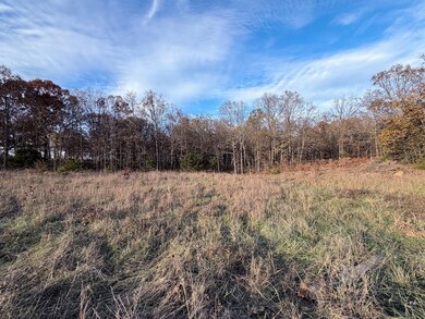 County Road 9100, West Plains, MO 65775 - photo 4