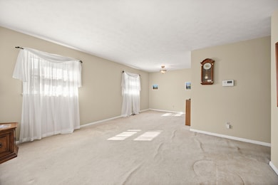 10-web-or-mls-413A0436