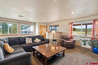 1239 Long Hollow Cir, Durango, CO 81301 - photo 7