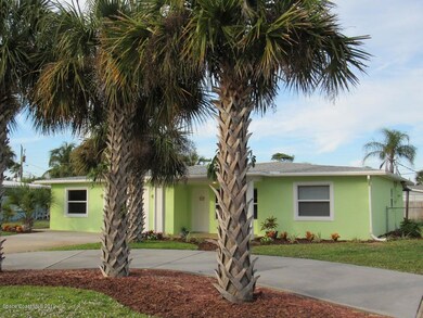 Neat tropical front view