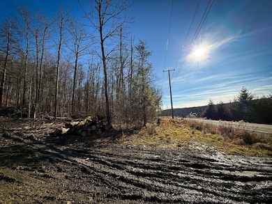 WP-01 Langford Creek Rd, van Etten, NY 14889 - photo 7