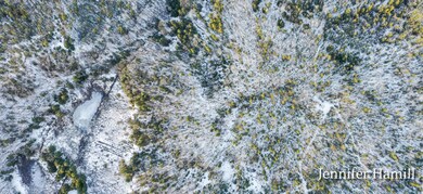 Pentwater 12.5 Acres-7