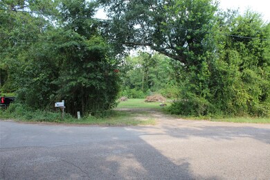 218 Dogwood Trail, Magnolia, TX 77354 - photo 6