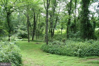 20169 Woodtrail Rd, Round Hill, VA 20141 - photo 3