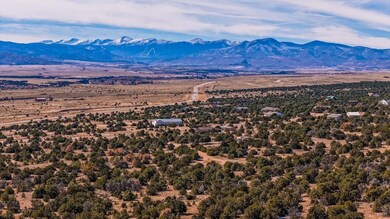 IMG_0008