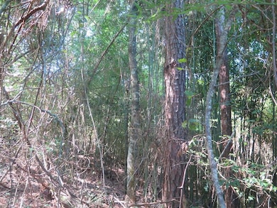 Meador Rd, Laurel, MS 39443 - photo 6