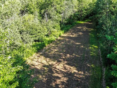 10033 Hwy 86, Tomahawk, WI 54487 - photo 4