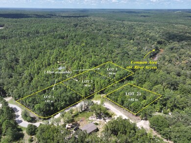 Lot 21 (w/ Lots 1, 2, 3) River Access