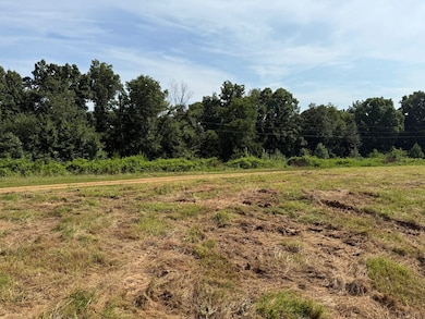 0 Stimson Rd unit 24207833, Bumpus Mills, TN 37028 - photo 4