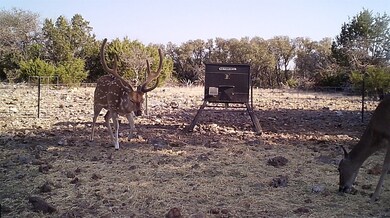 919 Sd unit 16010, Rocksprings, TX 78880 - photo 6