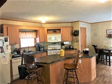 100 Roy Branch Rd, Branchland, WV 25506 - photo 4