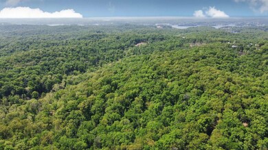 0 Gilliam Rd, Glaze Township, MO 65026 - photo 6