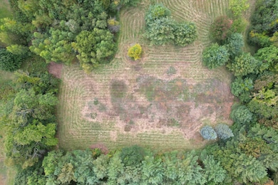 full field
