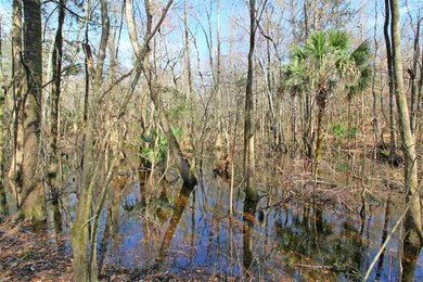 0 Harley Davidson Ln unit 289898, Crawfordville, FL 32327 - photo 4