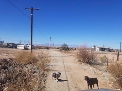 20250223_110112_resized