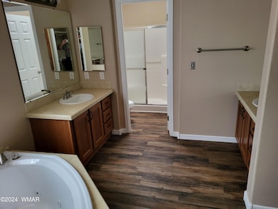 7046 Stagecoach Pass, Show Low, AZ 85901 - photo 7