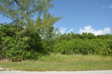 lot 3