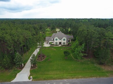 28732 Pleasant Forest, Magnolia, TX 77355 - photo 2