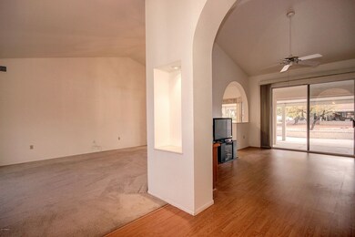Vaulted Ceilings - Arches