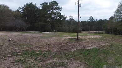 Tract B & C P Griffin Rd, Kentwood, LA 70444 - photo 3