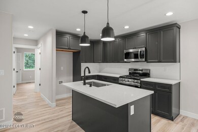 Sleek Black Cabinets