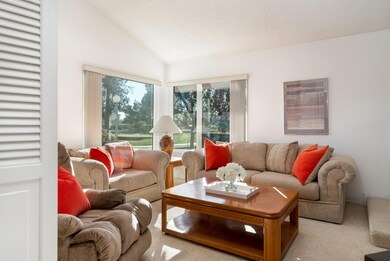 Livingroom windows