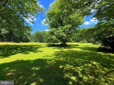 1914 Strawderman Rd, Mathias, WV 26812 - photo 3