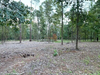 134 O'Connor Dr NW, Milledgeville, GA 31061 - photo 2