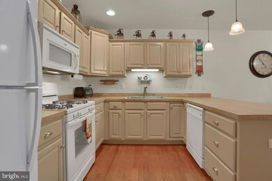 4 Pitt Ct, Lancaster, PA 17602 - photo 5