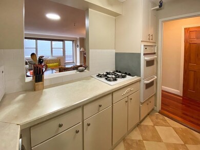 Tremont on the Common unit 6D, Boston, MA 02111 - photo 4