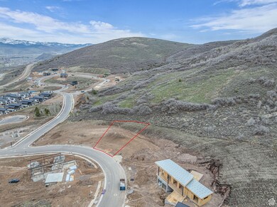 Drone / aerial view with a mountain view