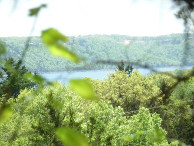 Tbd Elm St, Ruth B Rural Township, MO 65686 - photo 3