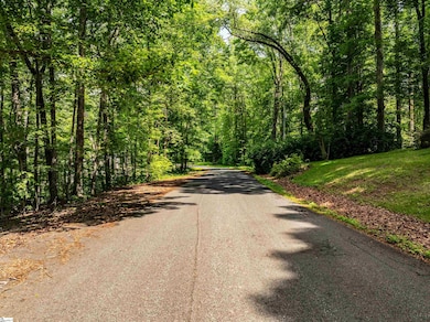 67 Wildflower Ln, Travelers Rest, SC 29690 - photo 6