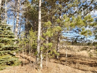 27548 S River Rd, Webb Lake, WI 54830 - photo 7